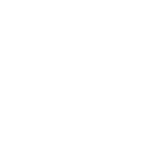 Insurance Staff