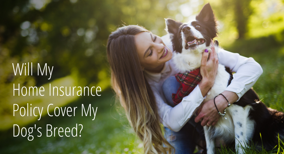 blog image: woman hugging dog; blog title: will my home insurance policy cover my dog's breed